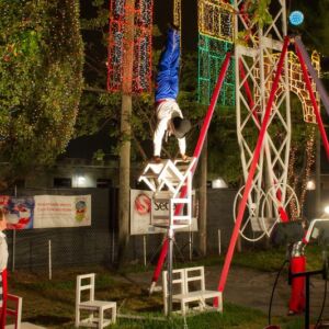 Family Fun Shows - Cirque